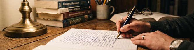 Как написать заключение: структура и примеры